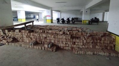 ঢাকা দক্ষিণে দখলদারত্ব রুখবে কে?