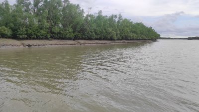 যেসব কারণে সড়কপথে সুন্দরবন যাওয়া পর্যটক কমছে