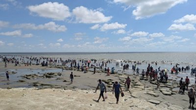 দীর্ঘদিন পর কুয়াকাটা সৈকতে বেড়েছে পর্যটক