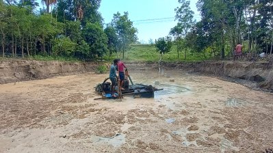 দেদারসে উজাড় করা হচ্ছে বন