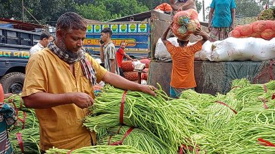 নতুন সবজি বাজারে এলে দাম কিছুটা সহনশীল হতে পারে