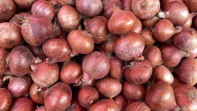 দাম কমে এলেও সবজির দাম ‘বেশি’
