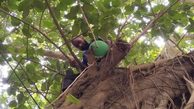 পাখিদের নিরাপদ আশ্রয়ের জন্য গাছে গাছে মাটির হাঁড়ি স্থাপন