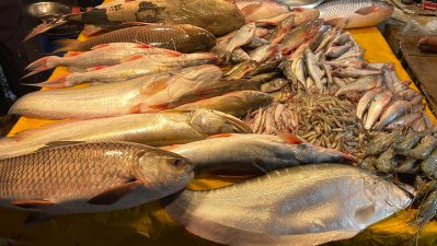 O preço do peixe continua fora do alcance dos compradores