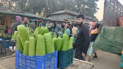 ‘৫০০ টাকার মাছ সবজি কিনেছি, এক দিন যাবে’