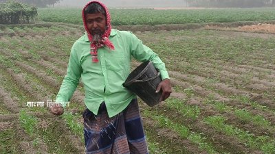 কৃষি মৌসুমে ন্যায্য মূল্যে সার পাচ্ছেন না কৃষকরা