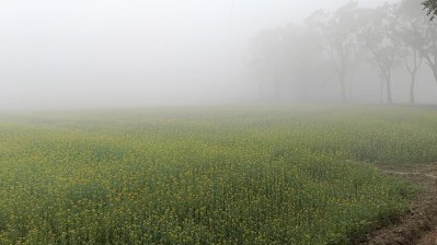 কনকনে শীতে বিপর্যস্ত জনজীবন