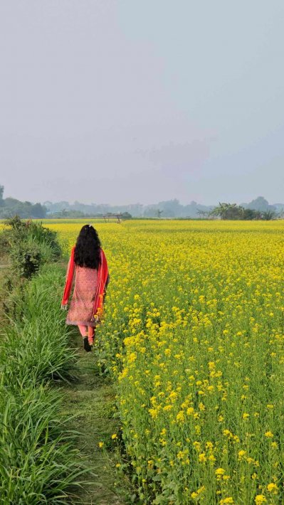 সবসময় জমির আইল ধরে হাঁটবেন। ছবি- লেখক 