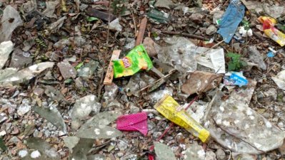 একবার ব্যবহার-উপযোগী প্লাস্টিকে চারপাশ সয়লাব হয়ে গেলেও যেন সব সয়ে গেছে