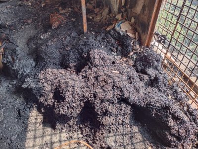 ফায়ার সার্ভিসের ১১টি ইউনিট প্রায় আড়াই ঘণ্টার চেষ্টায় আগুন নিয়ন্ত্রণে আনে (ছবি: বাংলা ট্রিবিউন)