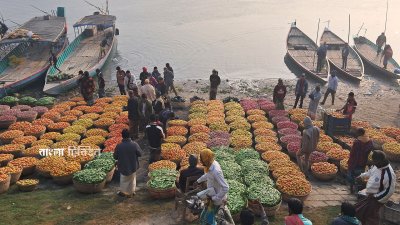 প্রতি হাটে ১০ লাখ টাকা বিক্রি, টমেটো-আলু-শিমের কেজি ২০