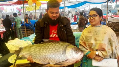 ২৬ কেজি ওজনের কাতলা মাছ