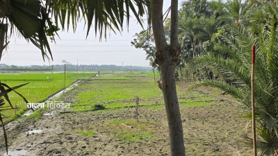 ইপিজেডের সীমানা নির্ধারণ করা হয়েছে