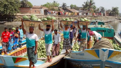 তরমুজের বাম্পার ফলন, কৃষকের মুখে হাসি