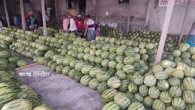 তরমুজে সয়লাব ধলেশ্বরীর তীরের এই পাইকারি হাট