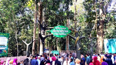 আগামী কয়েকদিনে এখানে লাখো পর্যটকের সমাগম ঘটবে বলে আশা তাদের