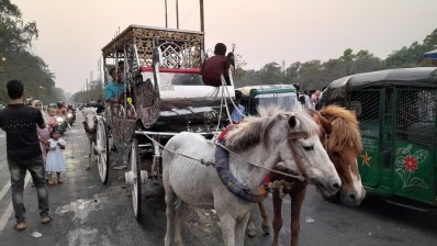 জিয়া উদ্যান সড়কে ঘোড়ার গাড়ি