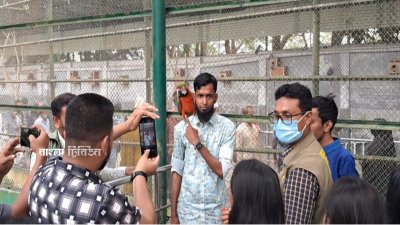 কেউ কেউ আবার ম্যাকাও পাখির সঙ্গে সেলফি তুলেছেন