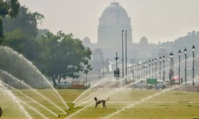 ভারতে তীব্র গরম থেকে বাঁচার চেষ্টা প্রাণিদের। ছবি: টাইমস অব ইন্ডিয়া। 