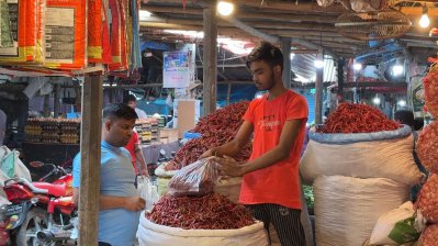 হিলি বাজারে সরবরাহ বড়েছে শুকনো মরিচের