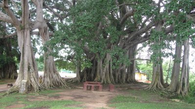 নানা কারণে স্থবির খাগড়াছড়ির পর্যটন, ক্ষতির মুখে হোটেল ও পরিবহন