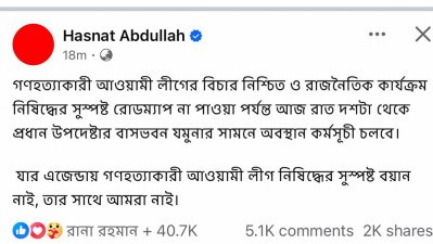 হাসনাত আব্দুল্লাহর ফেসবুক পোস্টের স্ক্রিনশট