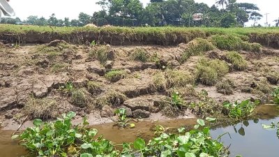 ধনাগোদা নদীর কয়েক কিলোমিটার এলাকাজুড়ে ভাঙন, বিলীন হচ্ছে জমি-ঘর