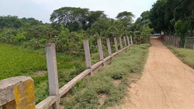নদী ঘিরে ফেলা হচ্ছে প্রাচীর দিয়ে