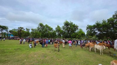 অভিযোগ প্রধান শিক্ষকের বিরুদ্ধে