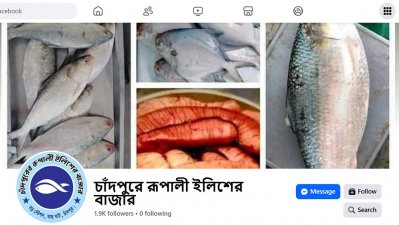 ফেসবুকে প্রচারণা চালিয়ে অর্থ আত্মসাৎ করে আসছিল চক্রটি