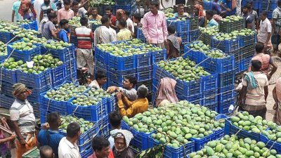 চলতি সপ্তাহে আমের দাম অনেক কম ছিল