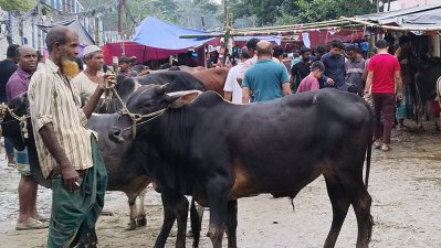 ভালো দাম পাওয়ার আশায় অপেক্ষা বিক্রেতার