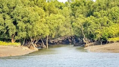 সমুদ্রের জেলেদের জন্য খাদ্যসহায়তার ব্যবস্থা থাকলেও সুন্দরবননির্ভর জেলেদের জন্য তেমনটি নেই