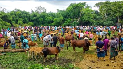 অবিক্রীত চামড়ায় লবণ দিয়ে বিক্রির কথা বলা হয়ে থাকলেও ব্যবসায়ীরা তা করেননি