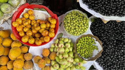 জাম, ডেউয়া, আমলকি ও লটকন