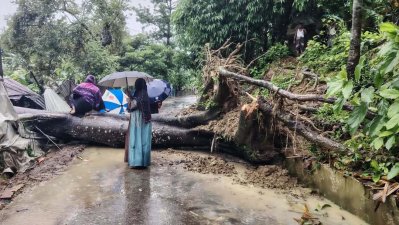 ভারি বর্ষণে সড়কে উপড়ে পড়া গাছ