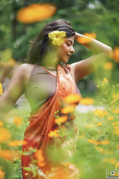 তোরসা
