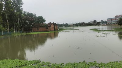 টানা বৃষ্টিতে সাতক্ষীরায় পানির নিচে আউশ, ভেসেছে মাছের ঘের