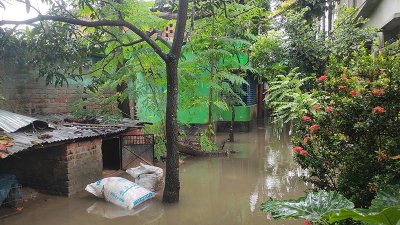 টানা বৃষ্টিতে সাতক্ষীরায় পানির নিচে আউশ, ভেসেছে মাছের ঘের