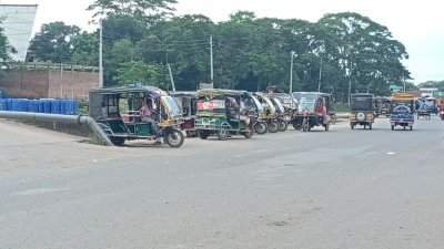 রিকশা, ভ্যান, ব্যাটারিচালিত ইজিবাইক, থ্রি হুইলার ছাড়া আর কোনও যানবাহন চোখে পড়েনি রাস্তায়