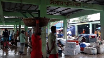 কোটি কোটি টাকা রাজস্ব ফাঁকি দিচ্ছেন উপকূলের মাছ ব্যবসায়ীরা