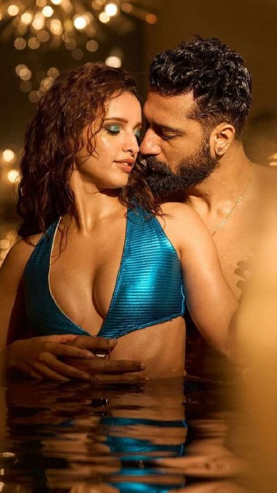 ‘ব্যাড নিউজ’ সিনেমায় তৃপ্তি ও ভিকি