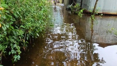 মেঘনা-ডাকাতিয়ার পানি বাড়ছে, দুর্ভোগে অর্ধলক্ষাধিক মানুষ