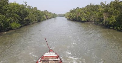 তিন মাস পর খুলছে সুন্দরবনের দ্বার, প্রস্তুত ১১ পর্যটনকেন্দ্র