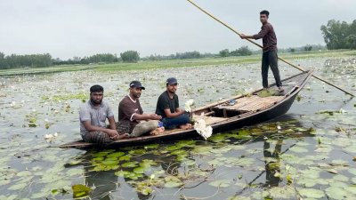 সৌন্দর্য দেখতে দূরদূরান্ত থেকে দর্শনার্থীরা আসছেন