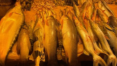 মাছের দাম চড়া