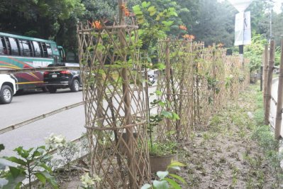 দুইটি পর্যায়ে মোট ১০ হাজার ৬৪৫টি শোভাবর্ধক ফুলের চারা রোপণ করা হবে