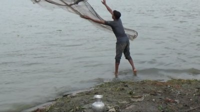 হা‌রি‌য়ে যাচ্ছে হাওরের দেশি মাছ