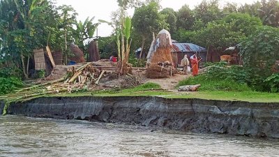 যমুনার ভাঙনে বসতভিটা বিলীন, হুমকিতে ৩০০ ঘরের গুচ্ছগ্রাম