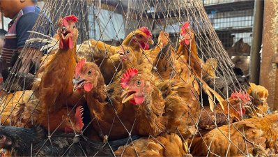 পেঁয়াজের কেজি ১২০, সবজি ৮০ টাকার ওপরে